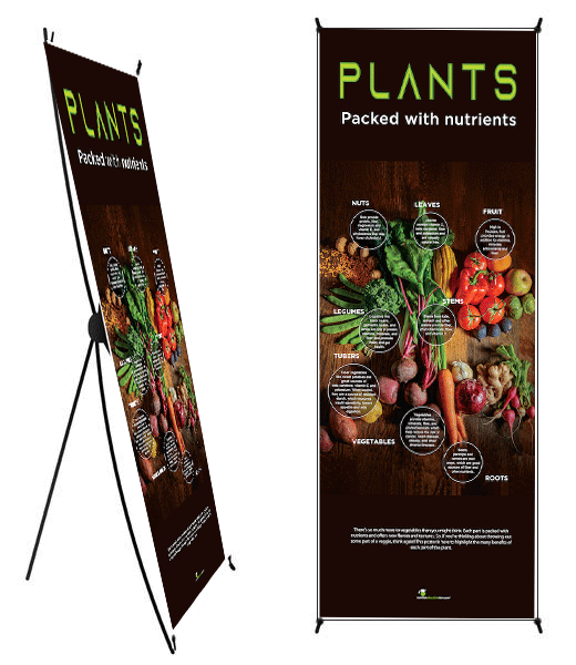 Plants: Many Beneficial Parts Vinyl Health Fair Banner 24" x 62" On Stand - Nutrition Education Store