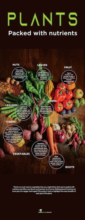 Plants: Many Beneficial Parts Vinyl Health Fair Banner 24" x 62" On Stand - Nutrition Education Store