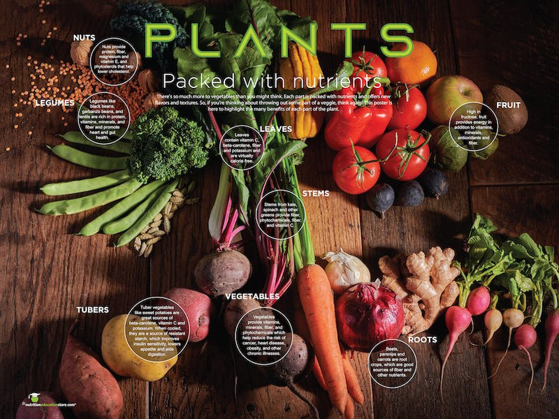 Plants: Many Beneficial Parts Vinyl Health Fair Banner 48" x 36" - Nutrition Education Store