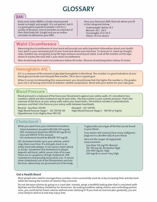 Printable Biometrics Form PDF with Room for Logo - Handout - Health Fair - Corporate Wellness and Screening - Nutrition Education Store