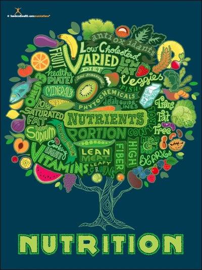 Tree of Nutrition Poster - Nutrition Education Store