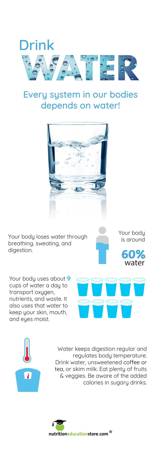 Water Banner 24" x 67 With Stand - Nutrition Education Store