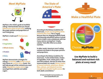 Weight Management Brochure Make a Healthful Plate 25 Brochures - Nutrition Education Store