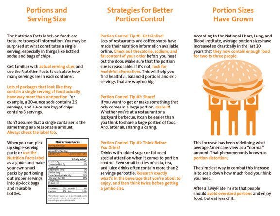 Diabetes Portion Plate - Diabetes Healthy Plate - 10