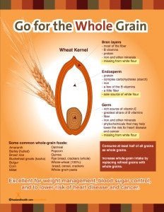 Whole Grain Illustration Poster - Nutrition Education Store